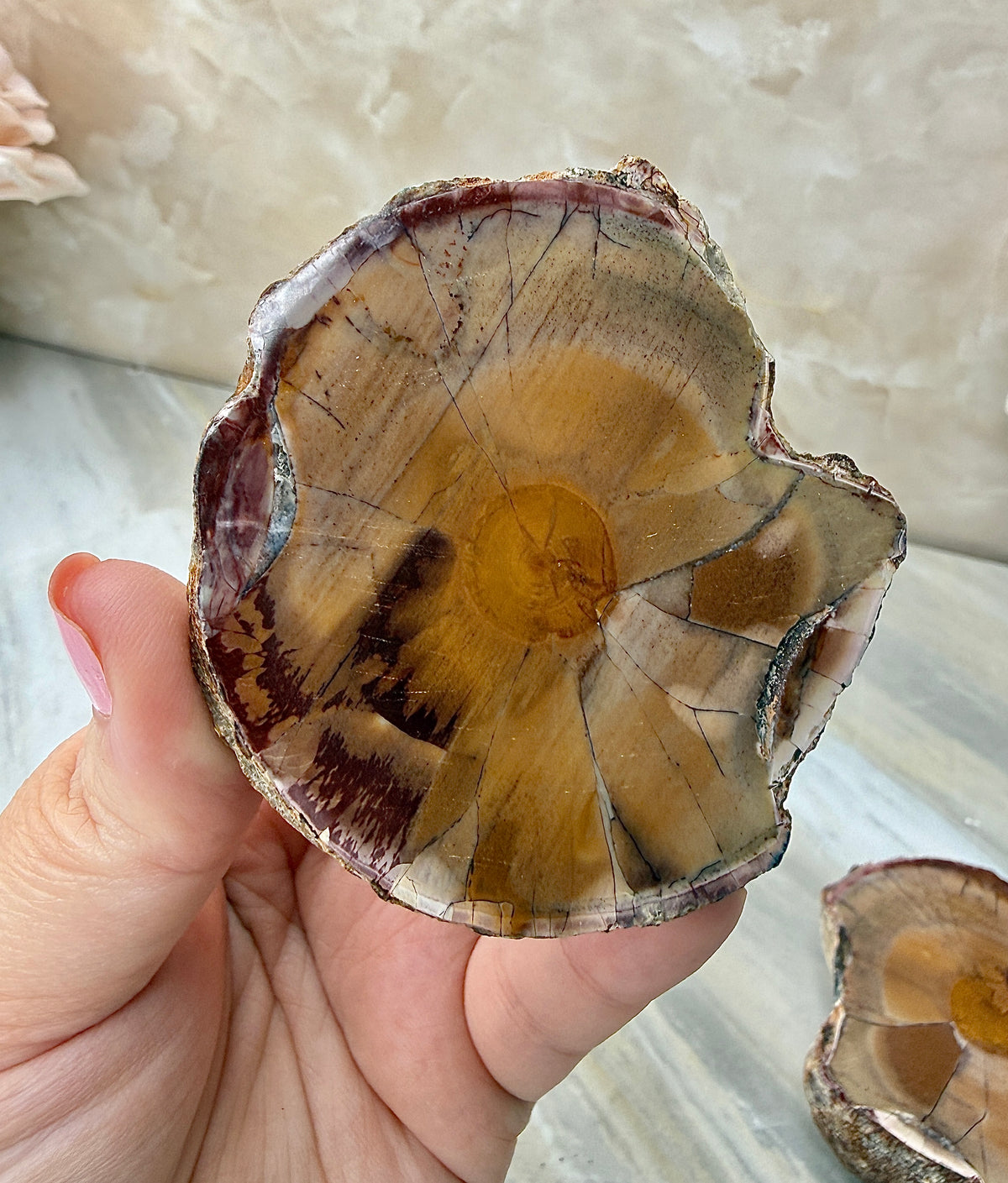 Thunder Agate Egg Pair from Mexico
