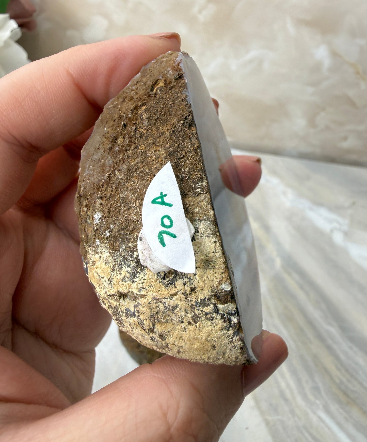 Condor Agate from Argentina