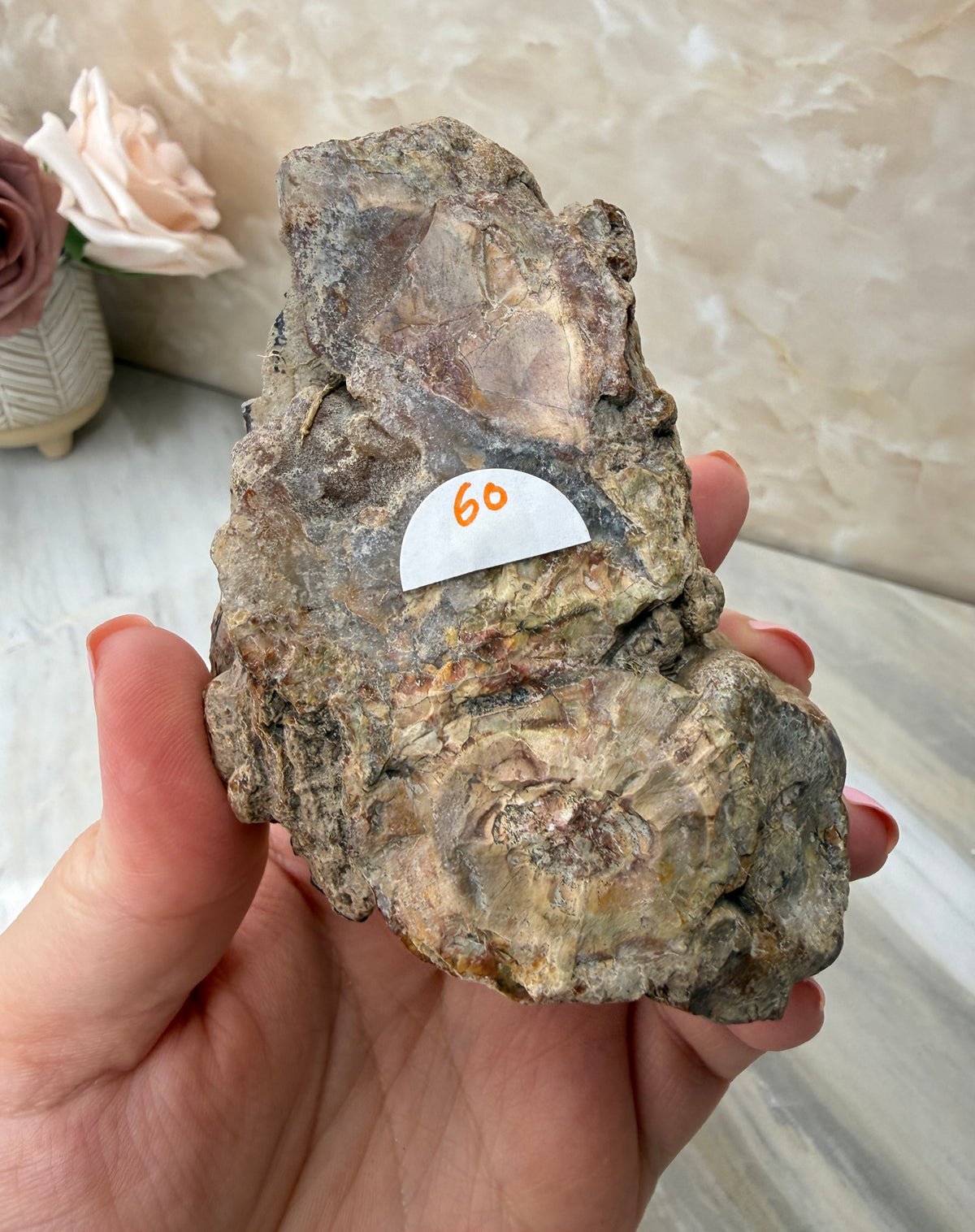 Thunder Agate Egg Pair from Mexico