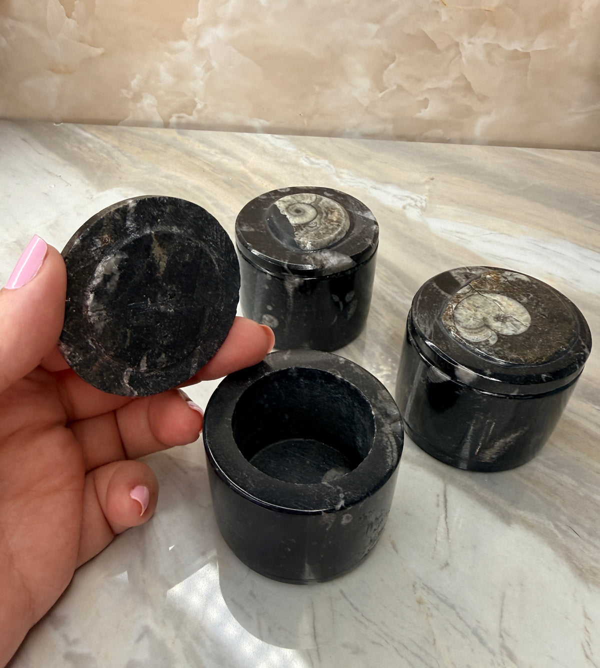 Orthoceras Fossil Trinket Box