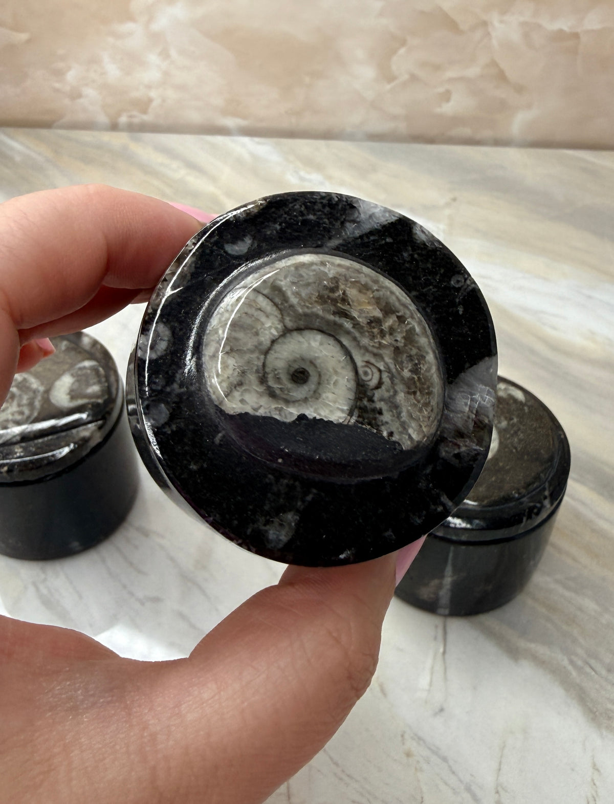 Orthoceras Fossil Trinket Box