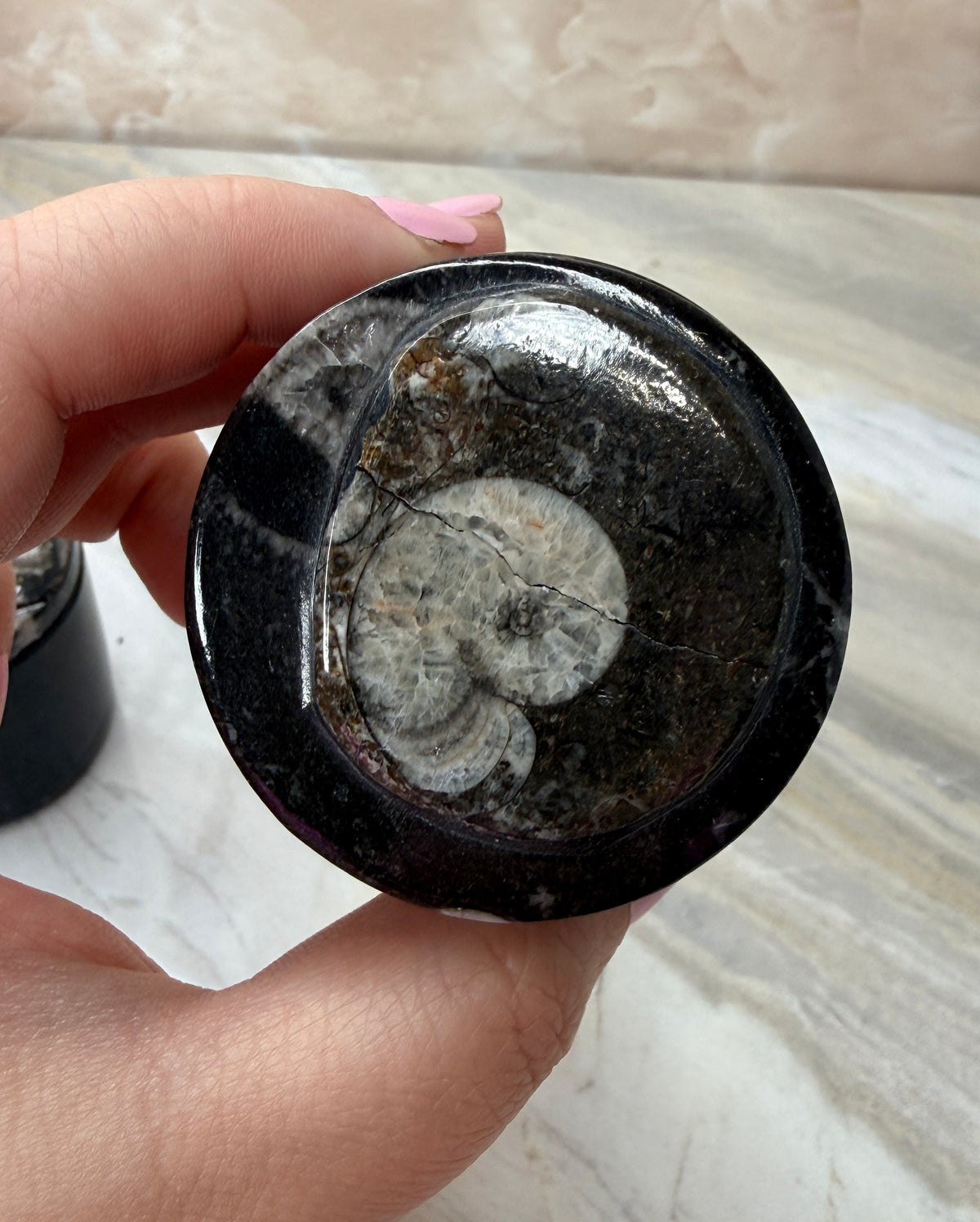 Orthoceras Fossil Trinket Box