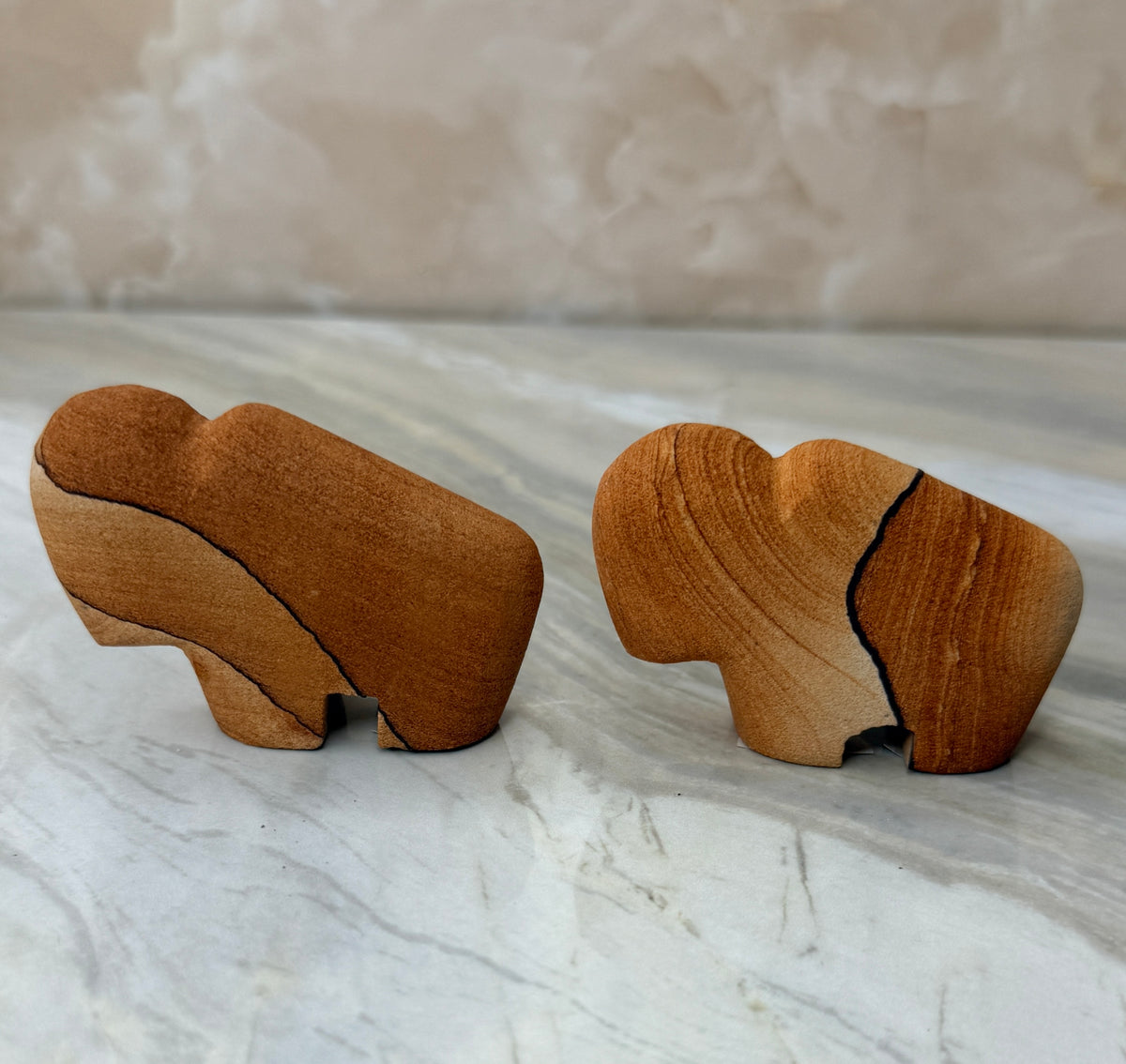 Sandstone Buffalo
