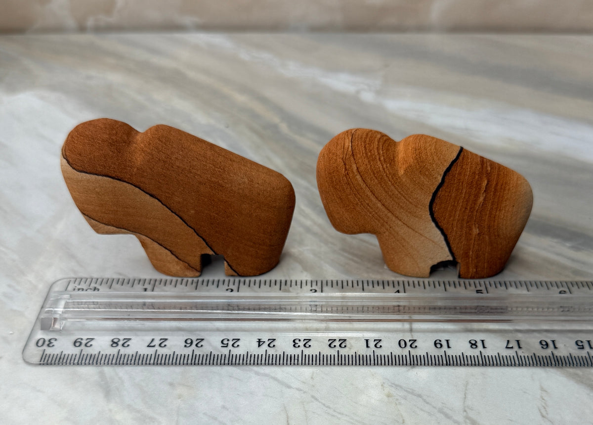 Sandstone Buffalo