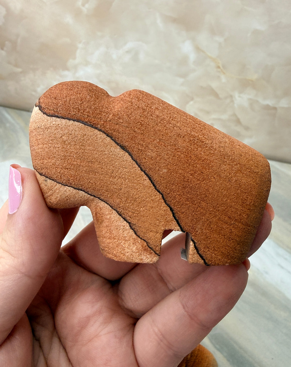 Sandstone Buffalo