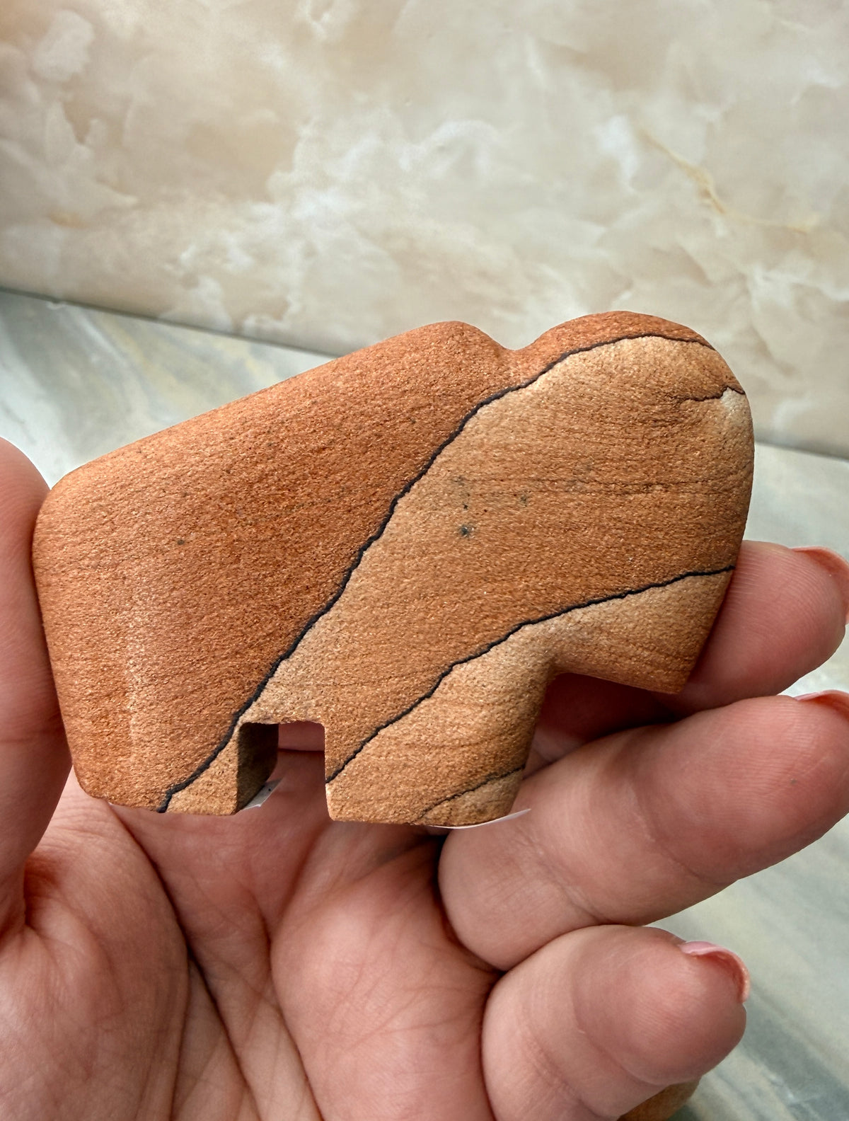 Sandstone Buffalo