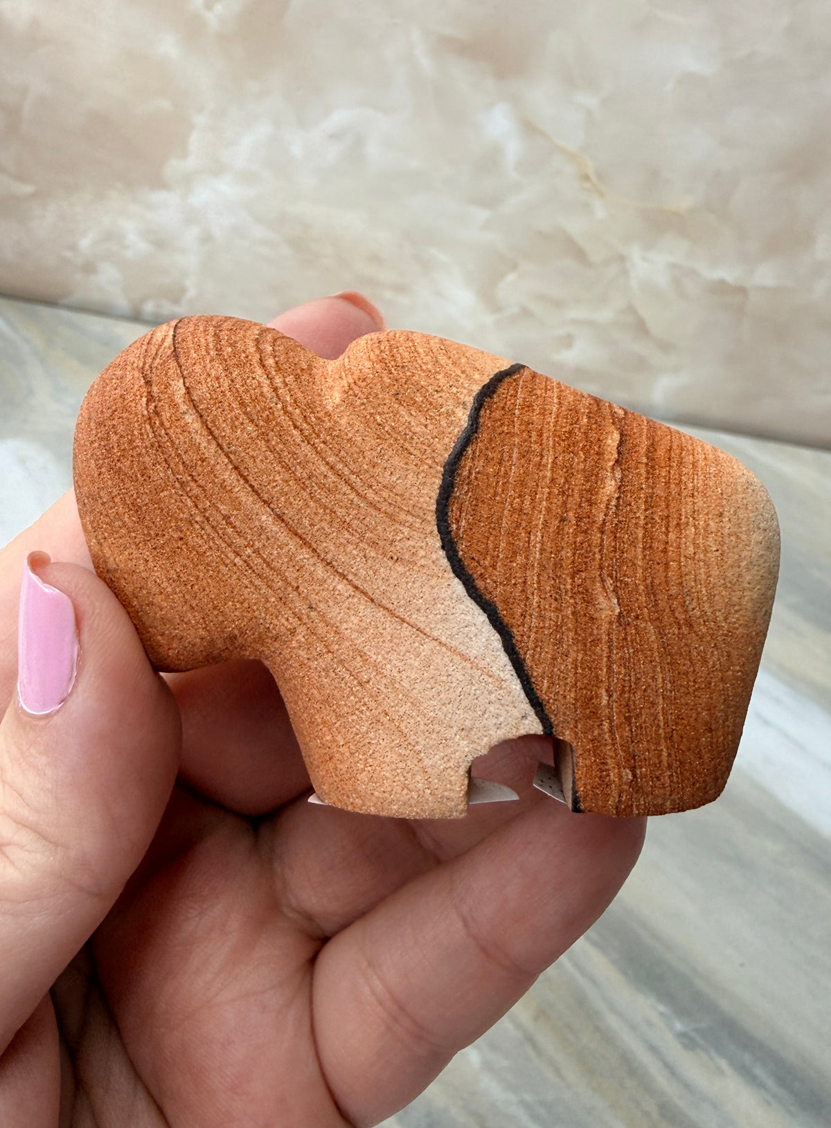 Sandstone Buffalo