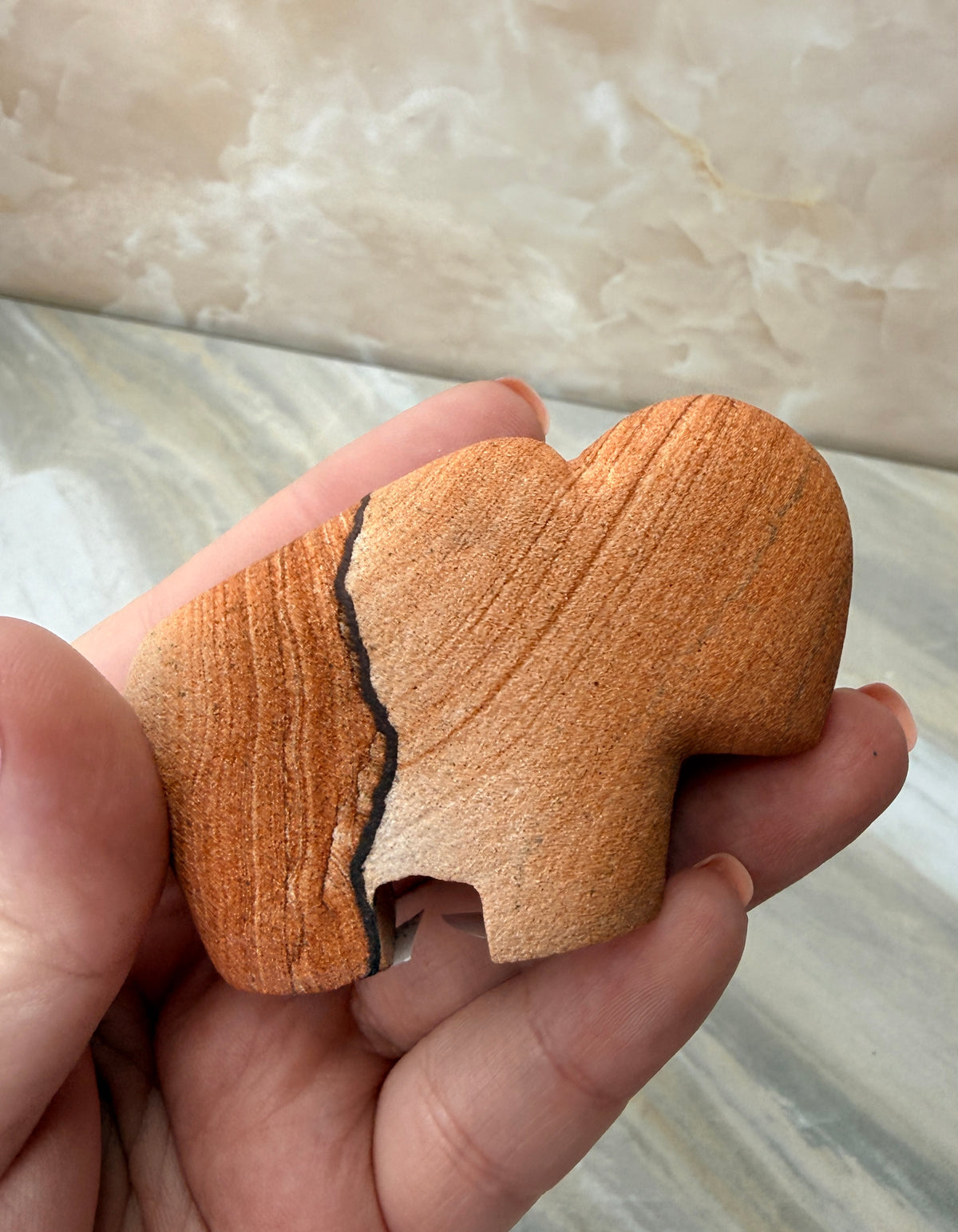 Sandstone Buffalo